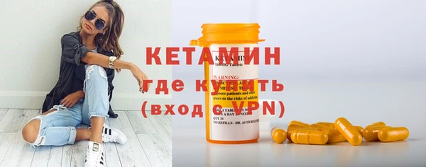шишки Беломорск