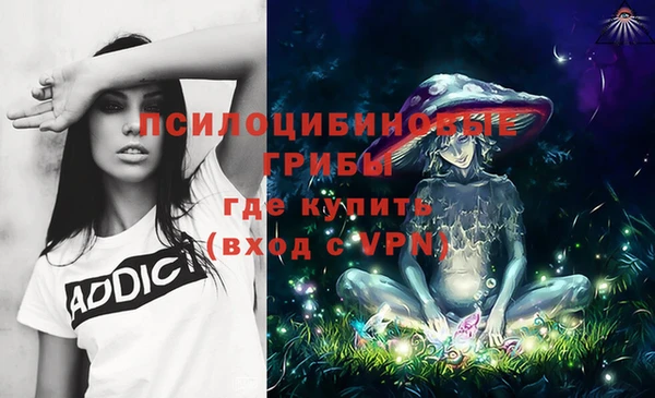 шишки Ростов