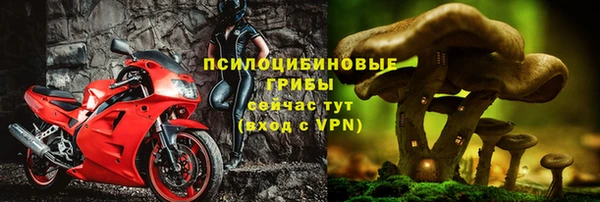 стаф Россошь