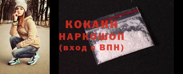 шишки Беломорск