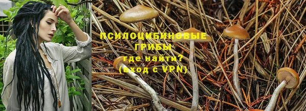 героин Белокуриха