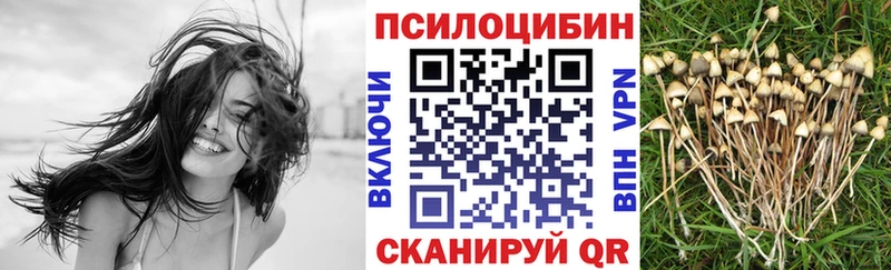 Псилоцибиновые грибы мухоморы  наркошоп  kraken ССЫЛКА  Кропоткин 