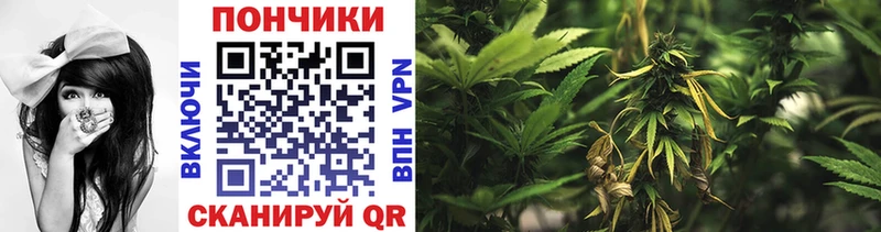 Шишки марихуана LSD WEED  продажа наркотиков  Кропоткин 